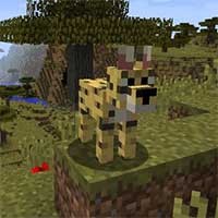 Kroopa’s Kritters Mod - Thêm Động Vật Hoang Dã Mới