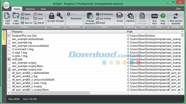 Kruptos 2 Professional