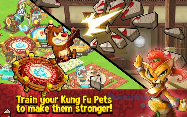 Kung Fu Pets