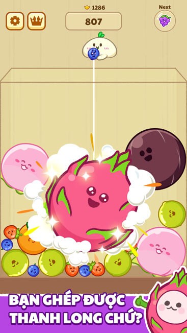 Ghép hoa quả thành trái thanh long