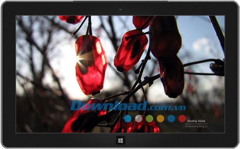 Large and Small theme