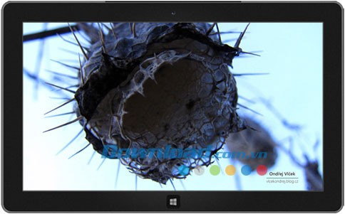 Large and Small theme