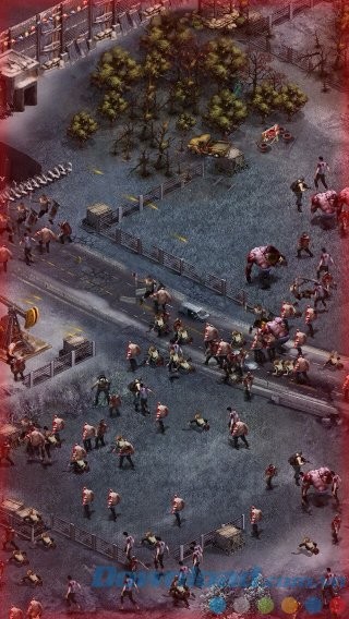 Đồ họa chân thực