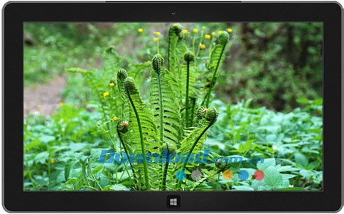 Latvian Nature theme