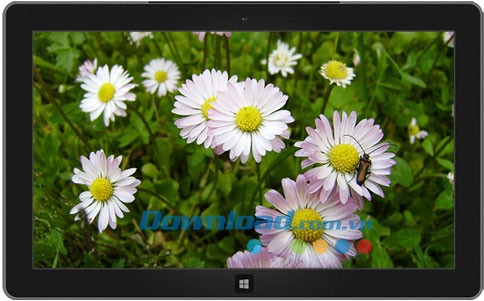 Latvian Nature theme