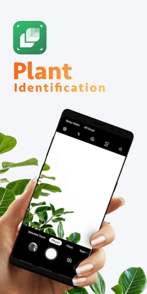 LeafSnap là ứng dụng xác định tên các loài thực vật