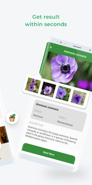 Biết tên các loài cây chỉ trong tích tắc