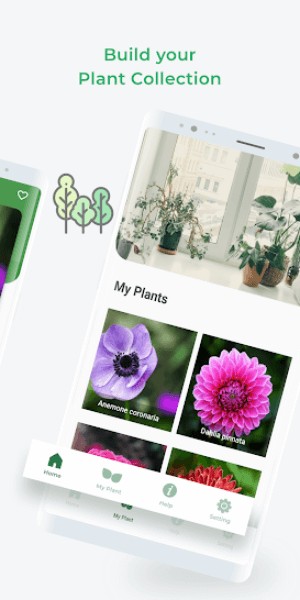 Xây dựng bộ sưu tập các loài cây của bạn