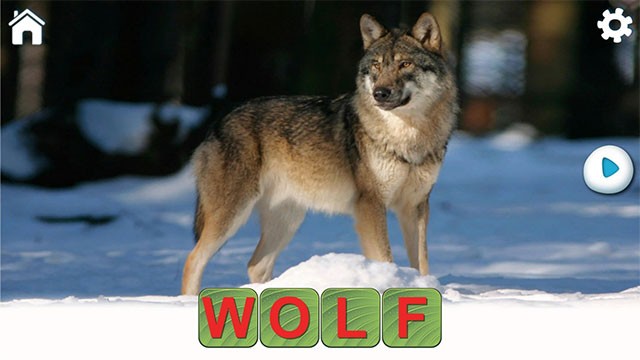 Ghép từ hoàn chỉnh, học cách phát âm và cứu động vật trong Learn to Read & Save the Animals