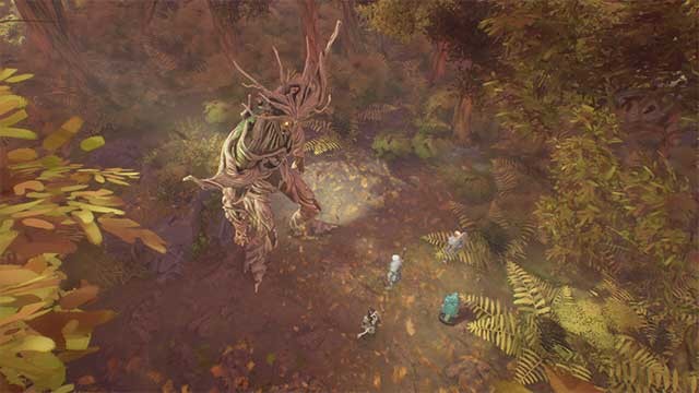 Fianna có thể được đào tạo theo các class như Bard, Druid và Warrior