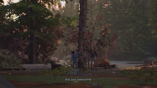 Câu chuyện về tình anh em cực kỳ cảm động