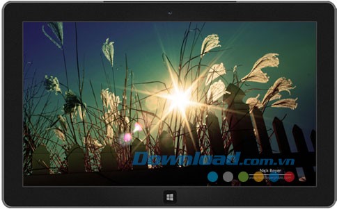 Light and Dark theme