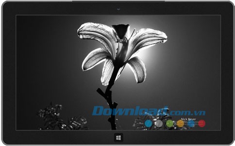 Light and Dark theme