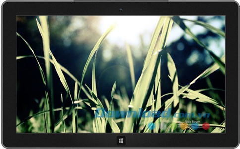 Light and Dark theme
