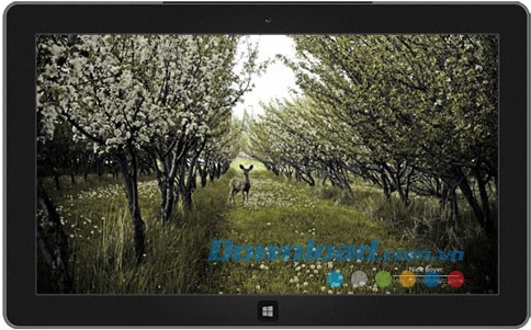 Light and Dark theme