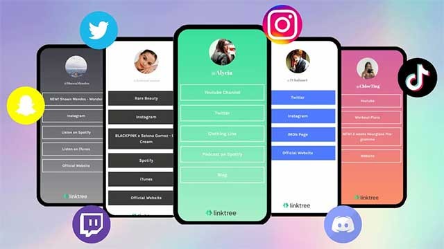 Mọi người thường đặt Linktree trong phần mô tả hồ sơ trên Instagram, TikTok,...