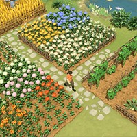 Litchi Town: Trải nghiệm cuộc sống thị trấn Trung Hoa cổ