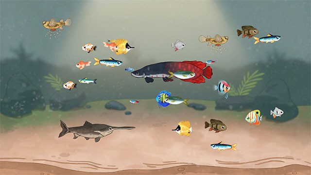 Khám phá sự đa dạng của các loài cá trong khi chơi Little Fishing Idle