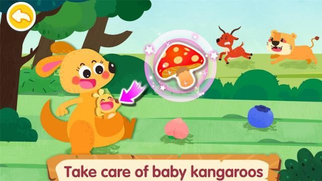 Giúp chuột túi mẹ chăm sóc con của mình