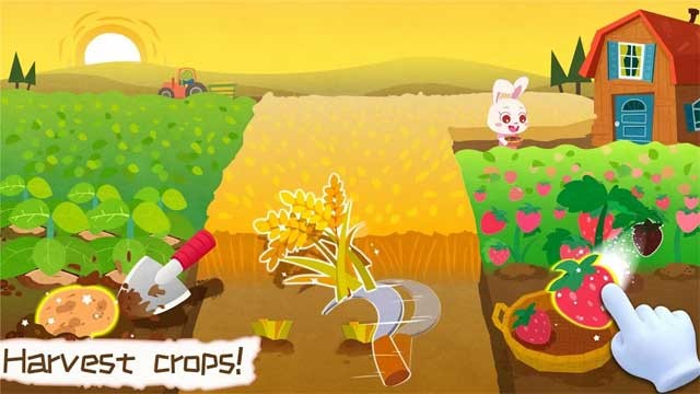 Thu hoạch trái cây, rau củ để chuẩn bị chế biến thành thực phẩm