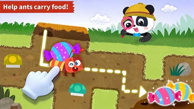 Giúp kiến nhỏ mang thức ăn và mang kẹo trở về tổ