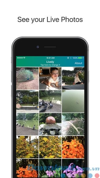 Xem ảnh Live Photo