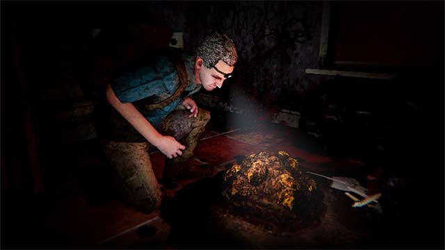 Thu thập các mẫu vật trong đêm để mang về nghiên cứu