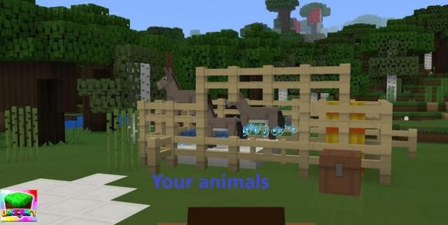 Chăm sóc vật nuôi