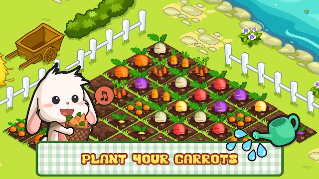 Trồng nhiều loại cà rốt khác nhau