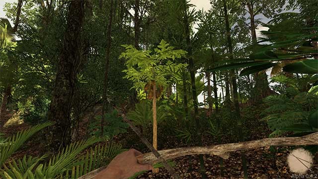 Tạo công cụ bạn muốn từ tài nguyên thiên nhiên như đá, lá cọ, tre, thân cây,…