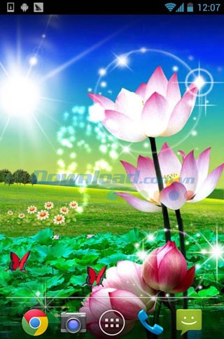 Lotus Live Wallpaper cho Android
