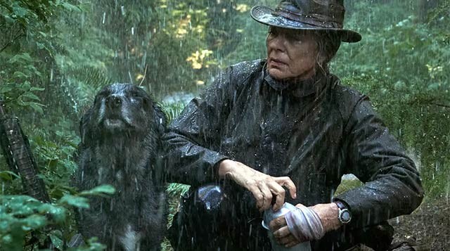 Bộ phim xoay quanh người phụ nữ độc thân bí ẩn tên Lou và chú chó Jax trung thành