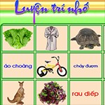 Phần mềm luyện trí nhớ cho bé - Rèn luyện trí nhớ hiệu quả