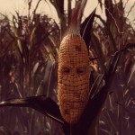 Maize - Game phiêu lưu góc nhìn thứ nhất trên PC