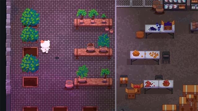 Cùng Mango và Berry duy trì tiệm kem trái cây bị cấm đoán