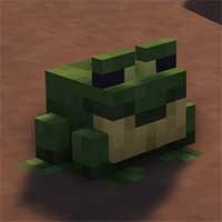 Mangrove Swamp Backport Mod - Khám phá quần xã đầm lầy độc đáo