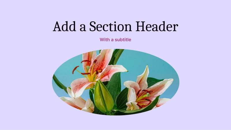 Amazing Botanical Slides slide 5