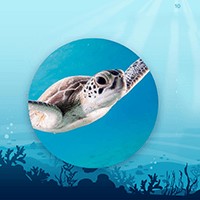 Mẫu PowerPoint Đại Dương Xanh - Slide Thuyết Trình Thế Giới Dưới Biển