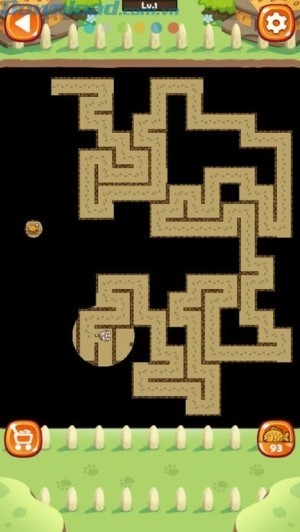 Tìm đường trong bóng tối