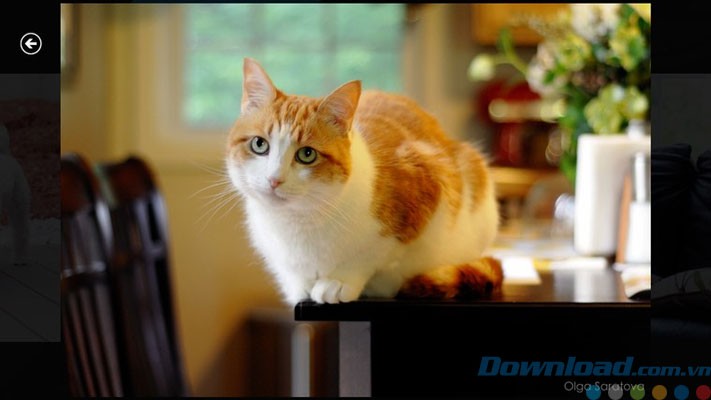 Xem toàn màn hình