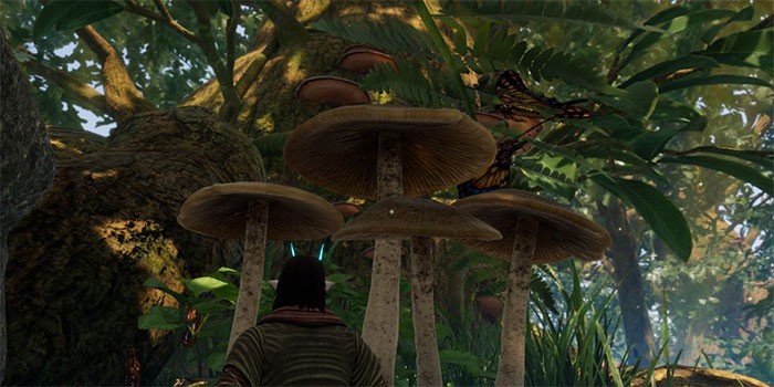 Mẹo chơi Smalland: Survive The Wilds cho người mới bắt đầu