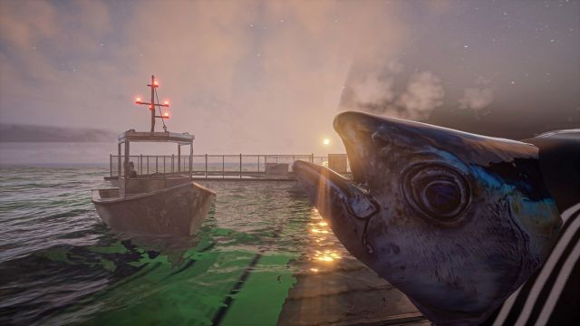 Umigari cho người mới bắt đầu: Hướng dẫn và mẹo