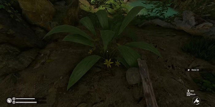 Molineria trong Green Hell