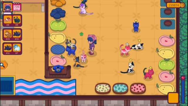 Chăm sóc và chơi đùa với những chú mèo trong nông trại và trường mèo vui nhộn