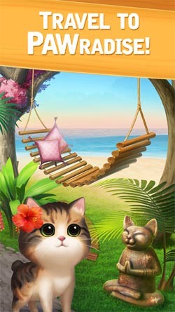 Đi tới thiên đường của loài mèo