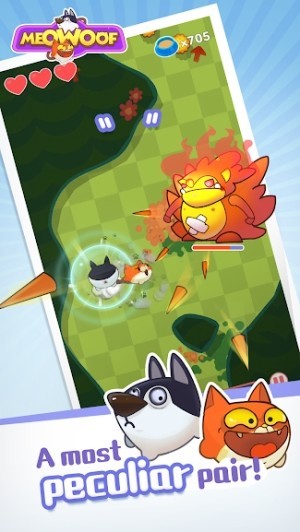 Điều khiển một cặp chó mèo kỳ quặc, hài hước