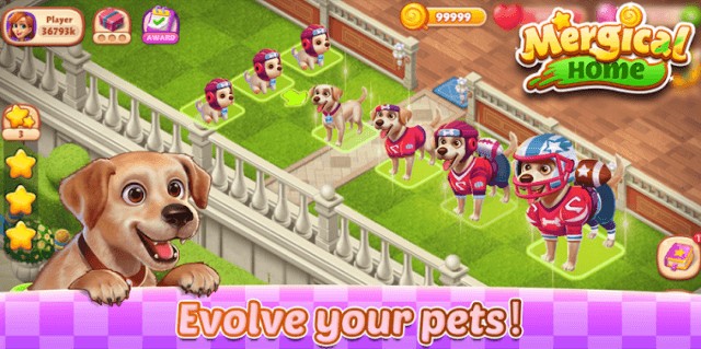 Tiến hóa thú cưng của bạn
