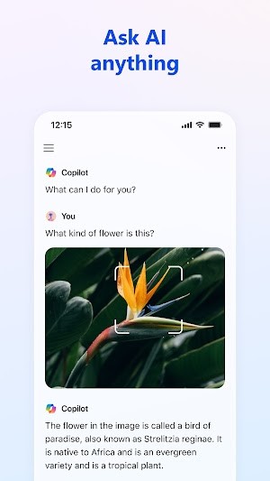 Hỏi AI mọi thứ và nhận câu trả lời nhanh chóng