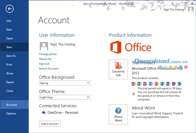 Microsoft Office Professional Plus 2013