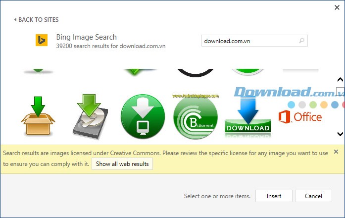 Microsoft Office Professional Plus 2013